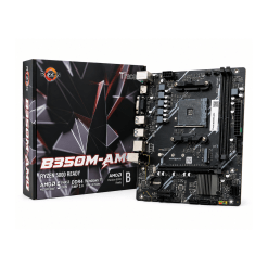 1. Tracer B350M-AMD V1.1 Motherboard new in 10 Months Warranty (by AMD House)